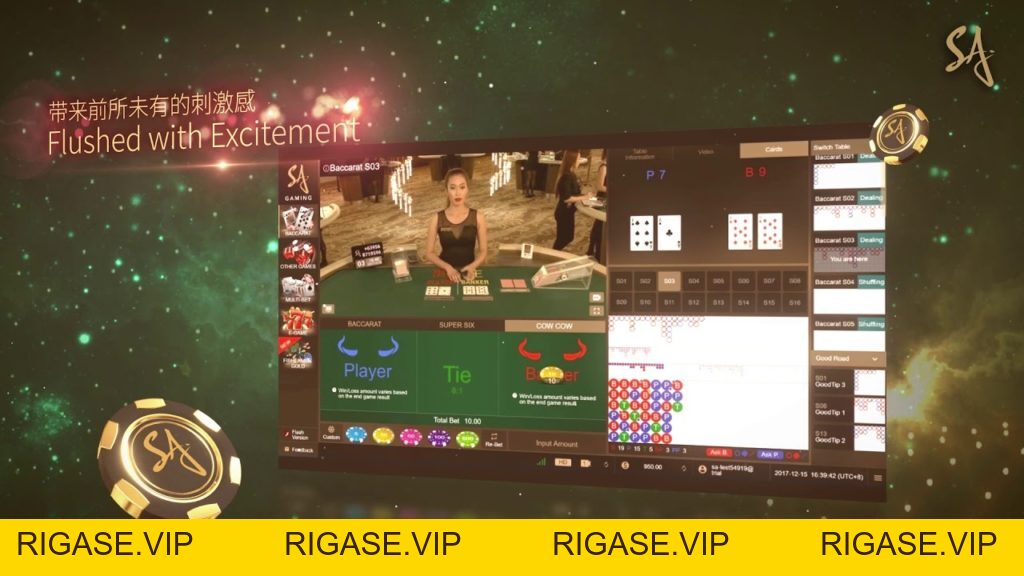 Nhà Cung Cấp Casino - rigase.vip