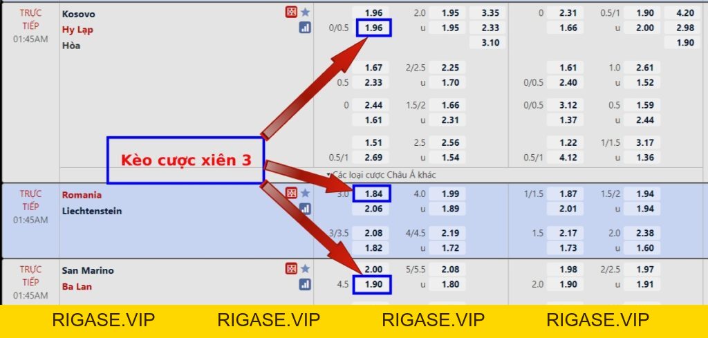 Cách Tính Kèo rigase.vip