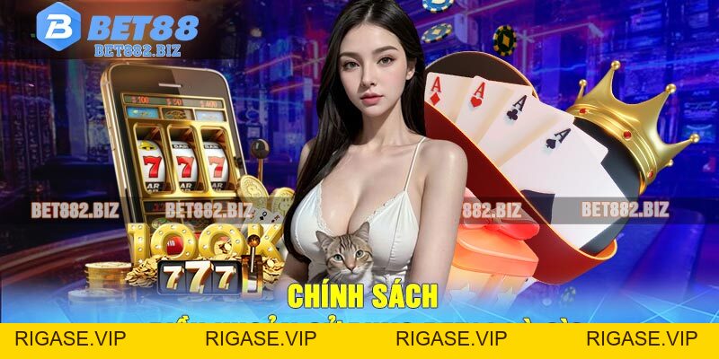 Tất Tần Tật Quy Định Trong Điều Khoản Sử Dụng BET88