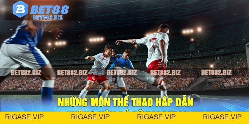 Thể Thao BET88 Thế Giới Cá Cược Thể Thao Trực Tuyến